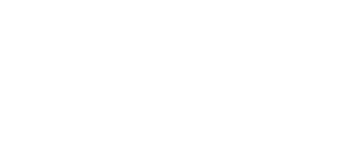 Check Point Software Technologies